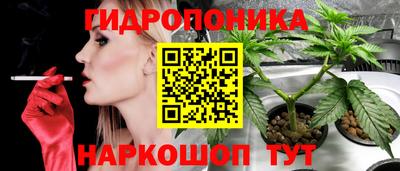 шишки Пугачёв