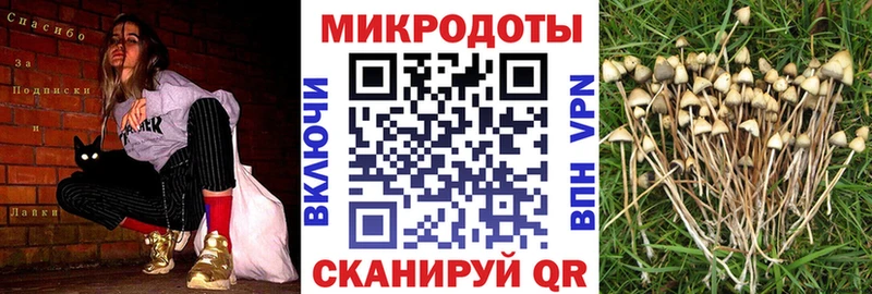 Галлюциногенные грибы мицелий  наркота  Семилуки 
