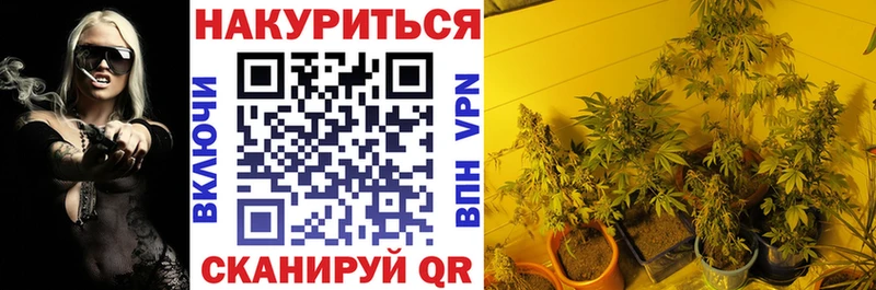 где найти   Семилуки  Каннабис Amnesia 